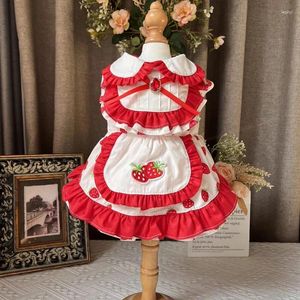 Vêtements de chien imprimé fraise coton vêtements pour animaux de compagnie rouge lolita cristal arc princesse robe pour petites jupes de chiot du Yorkshire moyen
