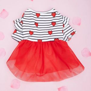 Vêtements de chien Stripe et coeurs rouges Valentin Robe de tulle de la Saint-Valentin