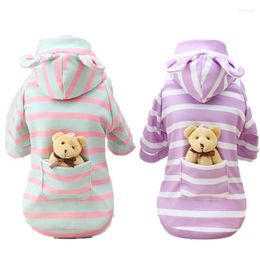 Vêtements pour chiens vêtements rayés avec ours en peluche poupée pull à capuche d'hiver pour petits chiens chats Pet Chihuahua vêtements sweats