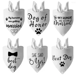 Hond kledingstijl Ze zei ja Bandana voor bruiloft verloving aankondiging cadeau Po Prop huisdier sjaal accessoires
