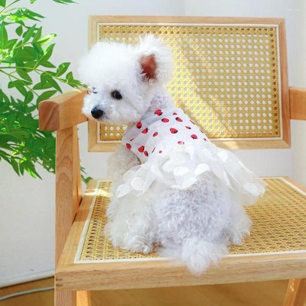 Vêtements pour chiens Robe d'été élégante Robe d'été en maille douce Ourlet facile à porter Motif fraise Pet Cat Princess Décoratif