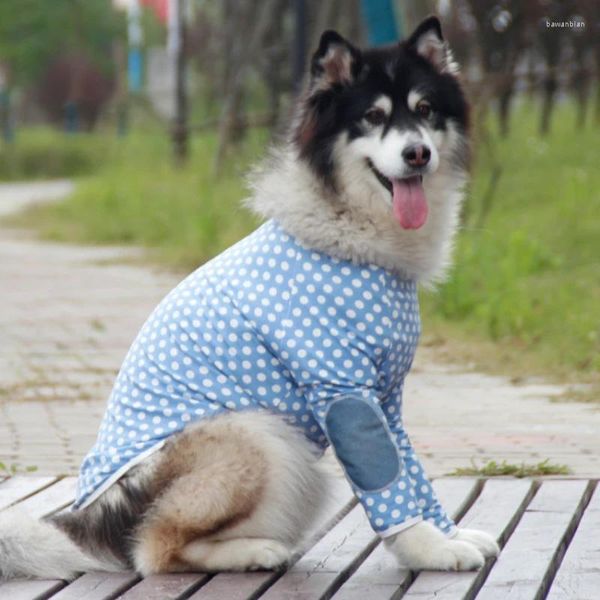 Appareils pour chiens Summer Big Clothes T-shirt Grand Vêtements Tee-shirt Samoyed Husky Labrador Golden Retriever Costume DropShip