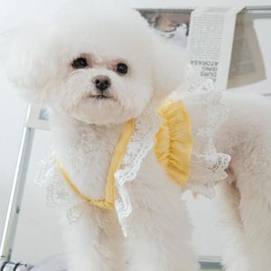 Hond Kleding Zomer Chiffon Rok Kat Puppy Voor Jurk Yorkshire Pommeren Kleding Shih Tzu Maltese Bichon Poedel Schnauzer Kleding