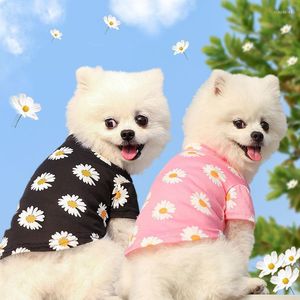 Vêtements pour chiens vêtements d'été chiot animal mignon marguerite noir rose T-Shirt pour Chihuahua carlin petits chiens moyens vêtements d'extérieur pour animaux de compagnie