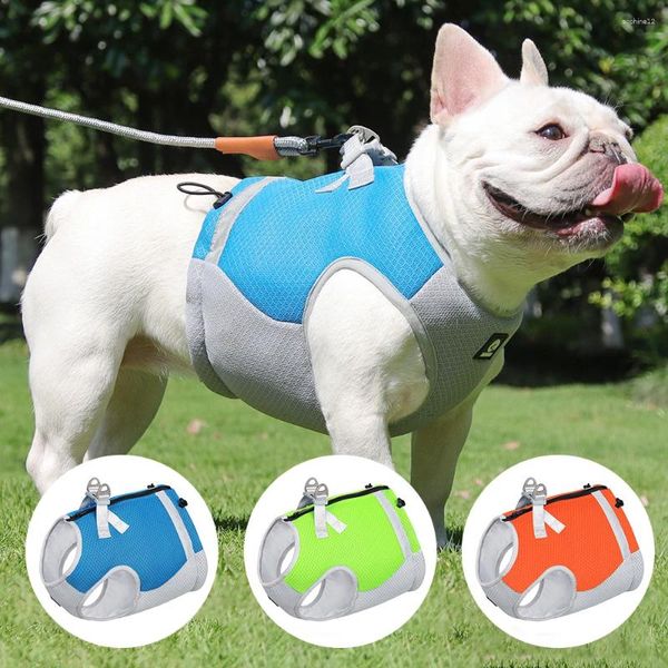 Appareils pour chiens Été refroidissement VIET HARNESS REDLECTRICULAIRE COMPECTURE À PEAUX VACHEMENT DE PET