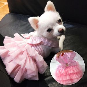 Vêtements pour chiens robe d'été chat jupe en dentelle vêtements pour animaux de compagnie Chihuahua rayure chiot princesse mignon vêtements accessoires 230422