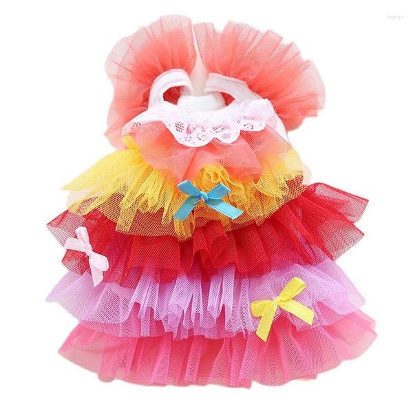 Vêtements de chien robe d'été pour chiens sexy gradient en mesh jupe sweet tulle cotation animal chat