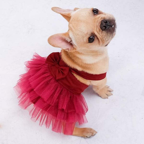 Vêtements de chien Robe d'été pour petits chiens de compagnie Vêtements Bowknot Costume de chiot Dentelle Tulle Fête Anniversaire Vêtements de mariage