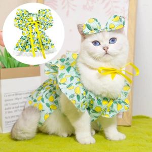 Vêtements pour chiens Robe d'été Pet Princess Set Manches imprimées Jupe de chat avec coiffe Légère Toucher confortable 3 ans