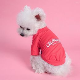 Ropa para perros, camiseta de verano para mascotas, jersey con estampado de letras, Top de gato de dos patas, ropa para disfraz pequeño, mediano y grande