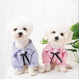 Appareils pour chiens Puppy Cat T-shirt jupe mode Stripe de animal de compagnie pour petits chiens Chihuahua Yorkshire Poodle Shirts Mascotas Clothing