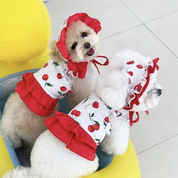 Vêtements de chien Summer Chiot Cherry Robe Teddy Belle Jupe Vêtements de fruits pour animaux de compagnie que l'ours Bretelles douces avec chapeau XS-XL