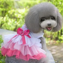Vêtements de chien robe de chiot d'été petit vêtements sweety princesse mignon jupe en dentelle miss respirable multicouche