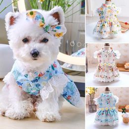 Vêtements pour chiens été petite robe de princesse florale pour chiens jupe robes de mariée en dentelle vêtements pour animaux de compagnie