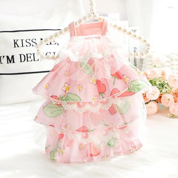 Vêtements pour chiens section fine section de compagnie Robe princesse mignonne en dentelle imprimé de fraise Chihuahua Yorkshire petits vêtements