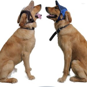 Vêtements pour chiens chapeau de protection solaire casquette de Baseball Sports de plein air avec trous d'oreille animal de compagnie réglable pour petit et moyen grand anniversaire