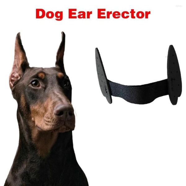 Suministros de ropa para perros Herramientas para el cuidado del oído para cachorros Etiqueta adhesiva de pie Herramienta de soporte fijo para Doberman Assist erigido