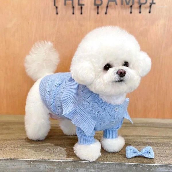 Vêtements pour chiens Sweet Lace Sweater Winter Warming Pet Vêtements pour les petits chiens moyens Mashshire Terrier Vêtements Costumes Costumes Costumes