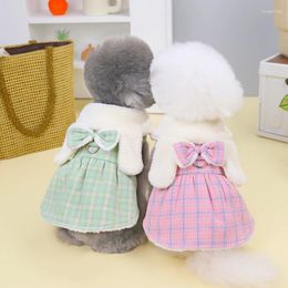 Vêtements de chien doux Plaid chiot princesse robe hiver jupe chaude pour petit chat coton Chihuahua Shih Tzu fille chiens vêtements