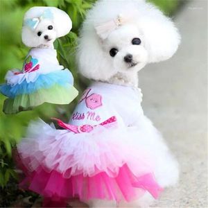 Vêtements pour chiens Sweety Jupe pour animaux de compagnie pour chat Mode Chiot Robe Mignon Dentelle Princesse Style Petit Vêtements