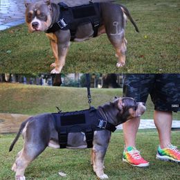 Vêtements pour chiens Gilet d'entraînement tactique Laser Cobra Vêtements Équipement de plein air pour animaux de compagnie