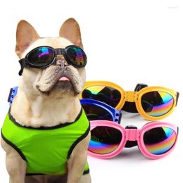 Vêtements pour chiens Tbelix Lunettes pour animaux de compagnie pour chiens Chats Accessoires Protection UV Lunettes de soleil Chiot Chat Produits Décorations Accessoires Fournitures