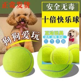 Vêtements pour chiens Tennis Toy Ball Bite Résistant Petit et Chiot Grand Cheval Grincement Dents Élastique Entraînement pour animaux de compagnie B