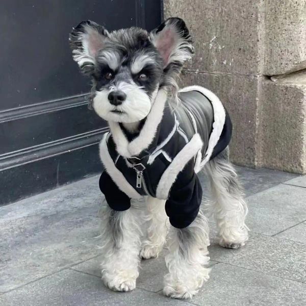 Vêtements pour chiens Veste de moto intégrée en fourrure épaissie pour petits vêtements de chat Vêtements d'hiver Teddy Pomeranian Schnauzer