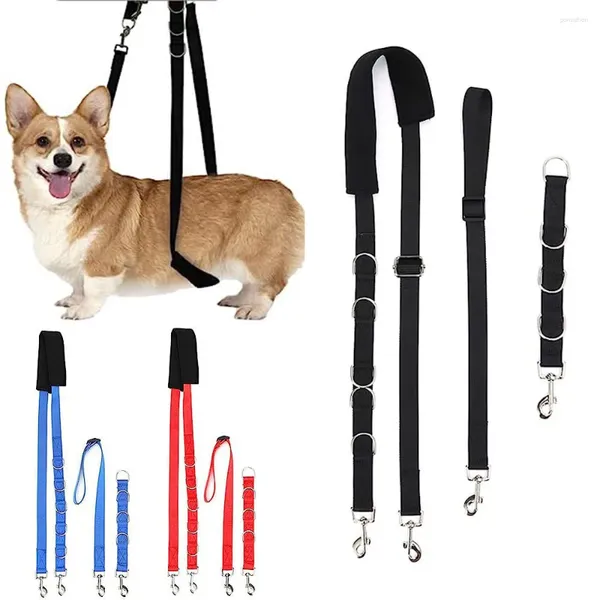 Vêtements pour chiens à trois pièces Table de toilettage pour animaux Lanyard de bain de baignade