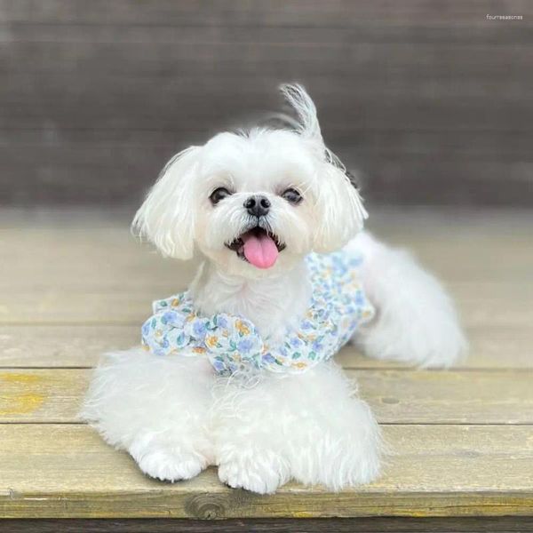 Ropa para perros Tops Estampado de flores Camisa para cachorros con clip de arco Adorable Transpirable Perros de dos patas Disfraz Pograph Props Suministros para mascotas