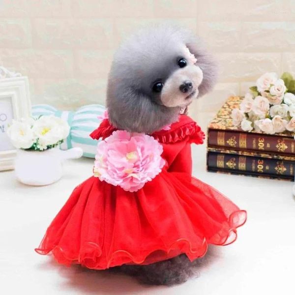 Ropa para perros Transer Vestido de lana Estilo Peonía Pequeño Gato Falda Ropa Cachorro Ropa de invierno Traje Roupa Cachorro Perros 4