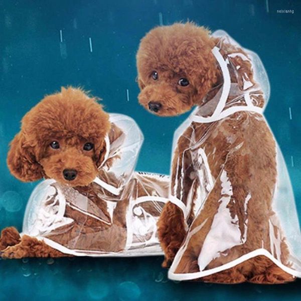 Ropa para perros Capa de lluvia transparente para mascotas para perros Chaqueta Linda ropa impermeable informal