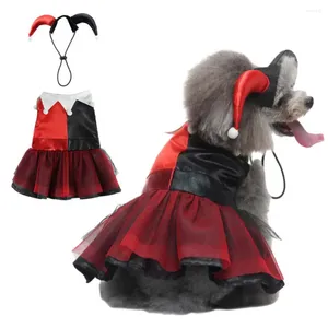 Vêtements de chien Two-Tone Horn Headgear For Dogs Halloween Robe Migne Pet Magic Costume Cosplay Fun avec du ruban adhésif