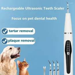 Appareils pour chiens Ultrasonic Pet Scalmer Brosse de dents Outil de nettoyage
