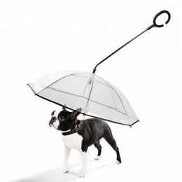 Parapluie de vêtements pour chiens avec laisse de course transparente - Deux-en-un pour les promenades de jour de pluie.