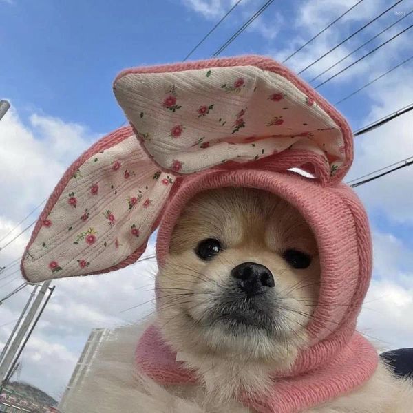 Ropa para perros con sombrero de mascota único invierno acogedor tejido con orejas mantenga tibio otoño esto para gatos