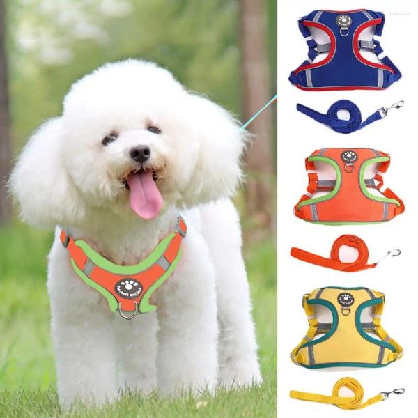 Vêtements pour chien