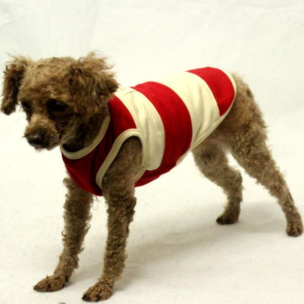 Vêtements pour chiens Gilet Tshirt Chat Chihuahua Caniche Carlin Husky Golden Retriever Labrador Gros Vêtements Grand Costume D'été Vêtements Pour Animaux De Compagnie