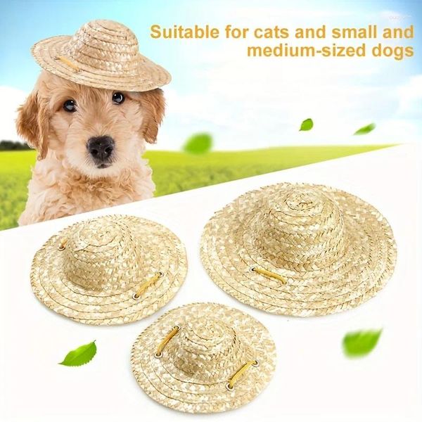 Vêtements de chien vintage fermier chapeau bijoux chat chat sunshade herbe