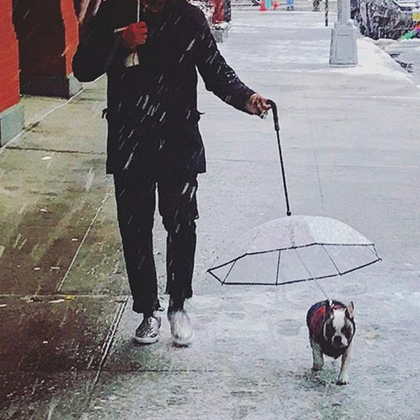 Vêtements pour chiens marche étanche couverture transparente laisse intégrée pluie grésil neige chat parapluie garde au sec confortable dans la neige