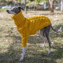 Vêtements pour chiens Chaud Automne Pull pour animaux de compagnie Élégant Col roulé Italien Greyhound Vêtements Whippet Vêtements 231206