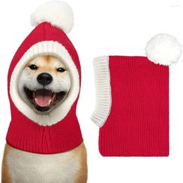 Appareils pour chiens Chat chaud chapeau d'hiver Pet de Noël CAP CACHEUR TRAITE