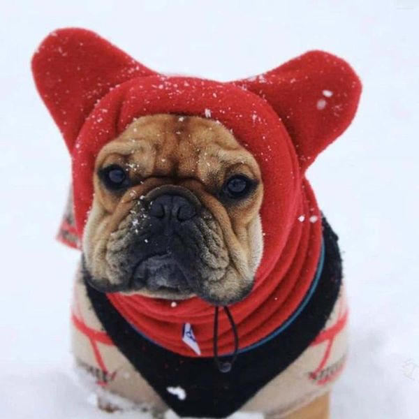 Vêtements pour chiens chapeau chaud animal hiver pour les petits animaux animaux moyens grands chiens