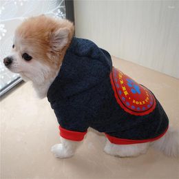 Ropa de perros Capas calientes Pet Cloth Winter Winter For Dogs Coat Chaqueta Algodón Puppy Clothing Outfits Pets Products Ropa para