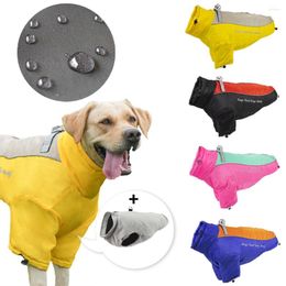 Vêtements pour chiens chauds grand animal de compagnie épaissis de veste d'hiver vites
