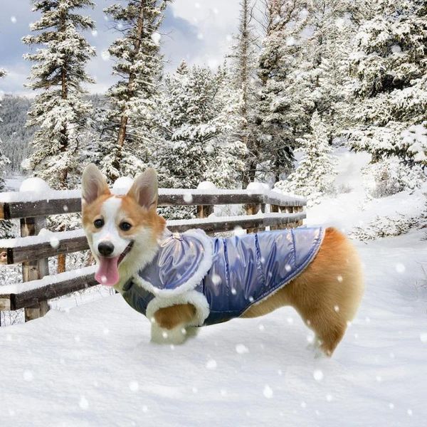 Vêtements pour chiens manteau d'hiver chaud gilet veste à vent de veste veste à animaux de compagnie épais tenue imperméable pour petit grand