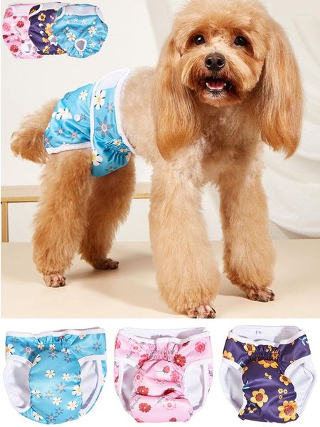 Chien vêtements lavable femme culotte dessin animé impression couche physiologique pantalon animal de compagnie sanitaire chat pantalon sous-vêtements