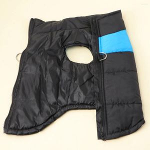 Vêtements pour chiens imperméables pour animaux de compagnie, vêtements d'hiver, manteau rembourré chaud pour petits et grands chiens, taille S (bleu)