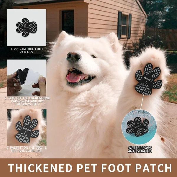 Appareils pour chiens Protégers imperméables pour chiens Anticlans de traction Autocollants Autochtones INvisible Patchette Patch Patch usur