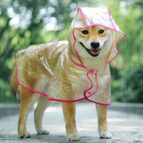 Vêtements pour chiens Vêtements imperméables imperméables Vêtements de pluie en plastique transparent Manteau à capuche résistant à l'eau pour Chihuahua Teddy Combinaison